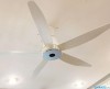 quat-tran-panasonic-f-60xdn-dong-co-dc-37w - ảnh nhỏ 3